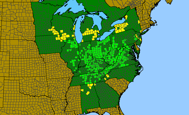 The range of Jeffersonia diphylla
